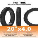 Electric Bike Aostirmotor G20 Tire