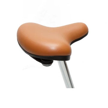 Electric Bike Iconic Ultralight StepOver Seat