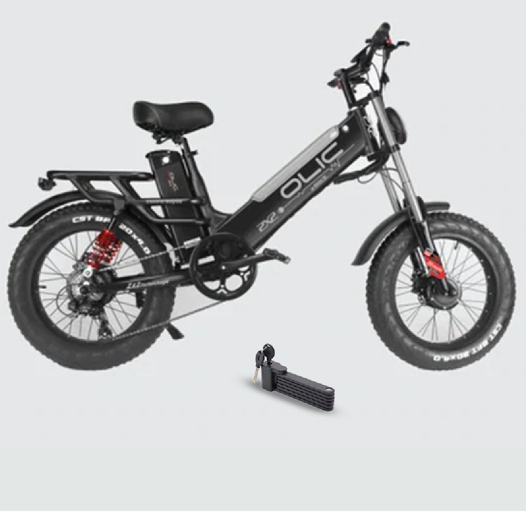 Picture of Electric Bike Olic 750W Turbocharge | Bikeberry.com