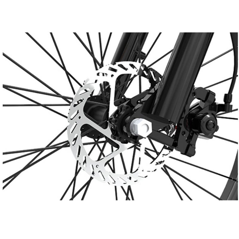 Electric Bike Aostirmotor S07-G Brake