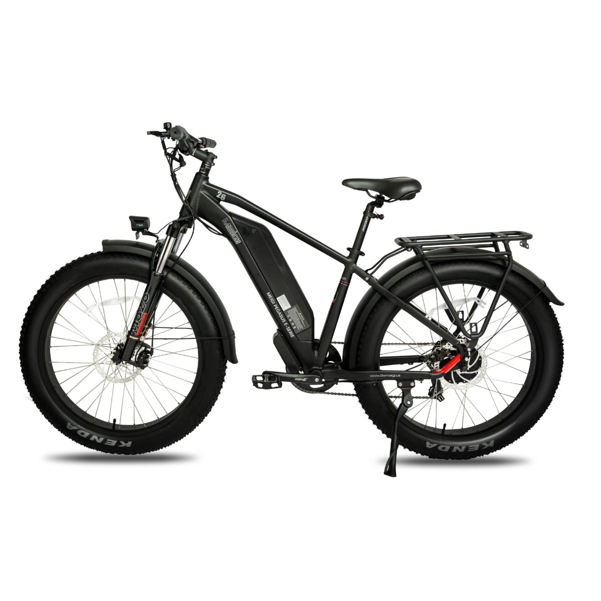 DWMeigi 750W Pegasus Electric Bike