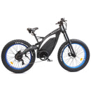 Electric Bike Ecotric Bison Right