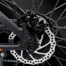 Electric Bike Ecotric Rocket Brake