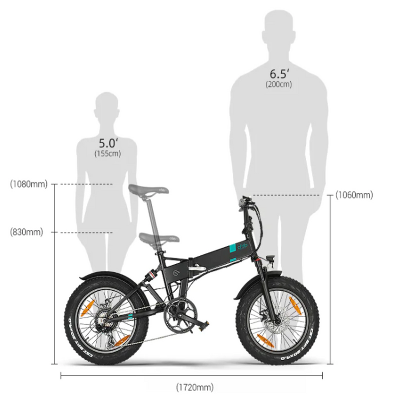 Electric Bike Fiido M21 Sizes