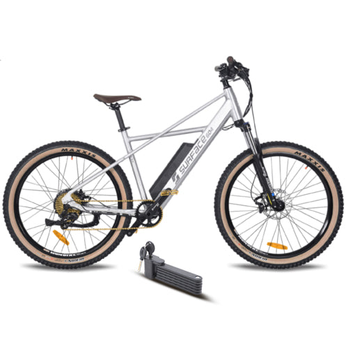 Bikeberry deals electric bike