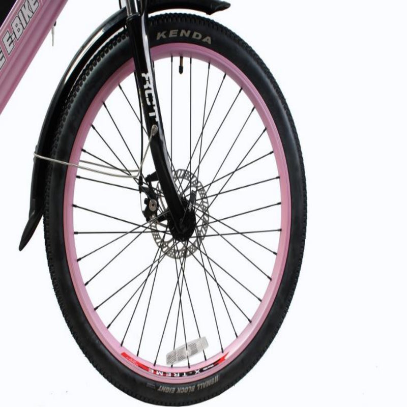 Electric Bike X-Treme Cataline Tire