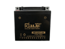 66/80cc Bullet Train Electric Start Engine Battery - Side profile
