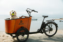 Dirwin 350W Caravan Cargo  Electric Bike
