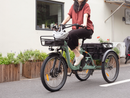 DWMeigi 750W Blazer Full Suspension Electric Bike