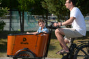 Dirwin 350W Caravan Cargo  Electric Bike