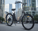 Dirwin 350W Pacer X Electric Bike