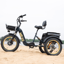 DWMeigi 750W Silverado Urban Electric Bike