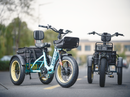 DWMeigi 750W Silverado Urban Electric Bike