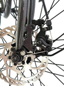 Dirwin 350W Pacer X Electric Bike