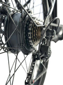 Dirwin 350W Pacer X Electric Bike