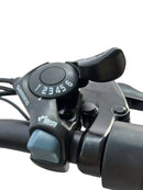 Dirwin 350W Pacer X Electric Bike