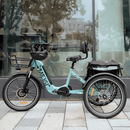 DWMeigi 750W Silverado Urban Electric Bike