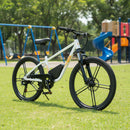 Eunorau 250W EKIDS24 Electric Bike