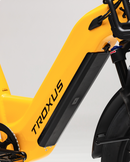 Troxus 750W Lynx Cargo Electric Bike