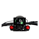 Revi 1000W Cheetah Pro 30Ah Electric Bike