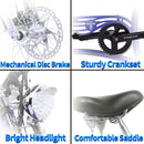 Tracer 500W Twenty5 GT Chopper Cruiser Electric Bike