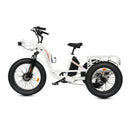 Ecotric 750W Tricycle 48V FAT Tire F/R 24"x4"/20"x4"Electric Bike