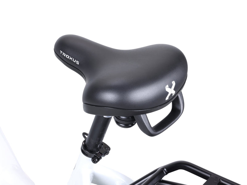 Troxus 750W 20" Lynx Step-Thru Fat Tire Electric Bike