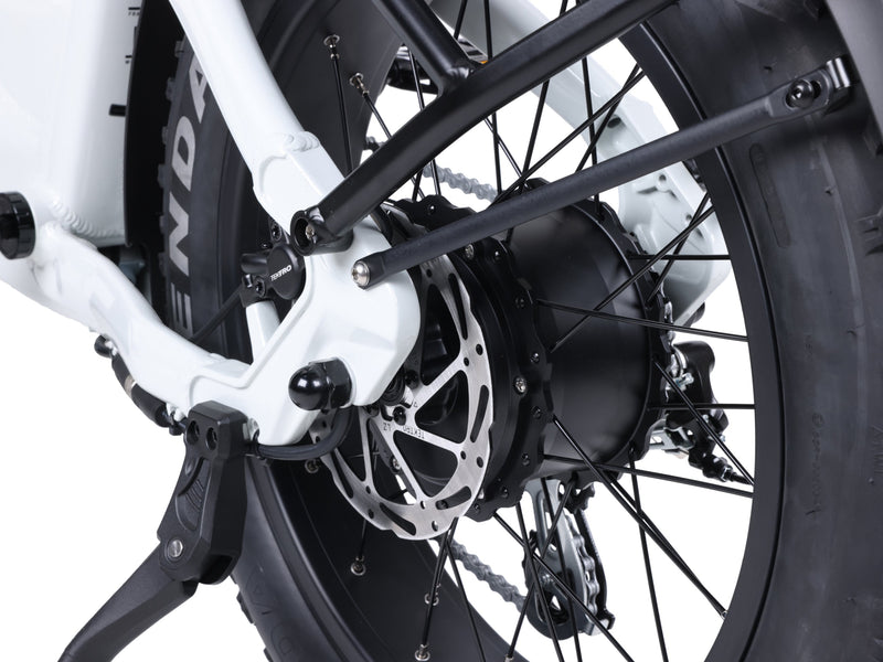 Troxus 750W 20" Lynx Step-Thru Fat Tire Electric Bike