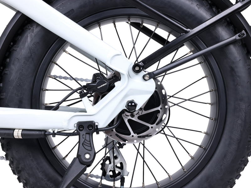 Troxus 750W 20" Lynx Step-Thru Fat Tire Electric Bike