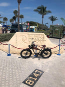 Revi 1000W Cheetah Pro 30Ah Electric Bike