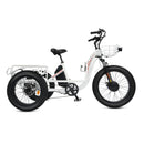 Ecotric 750W Tricycle 48V FAT Tire F/R 24"x4"/20"x4"Electric Bike