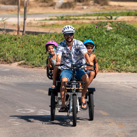 Emojo 500W Bull Urban Cruiser Step-Thru Electric Bike Trike