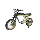 Revi 750W Cougar Electric Bike