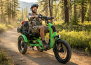 Addmotor 750W Freetan M-368X Full-Suspension Semi-Recumbent Electric Trike