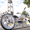 Tracer 800W Raptor Pro DS Chopper Stretch Cruiser  Electric Bike