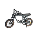 Revi 750W Cougar Electric Bike