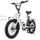 Isinwheel 500W U2 10.4Ah Cargo Electric Bike