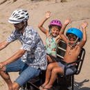 Emojo 500W Bull Urban Cruiser Step-Thru Electric Bike Trike