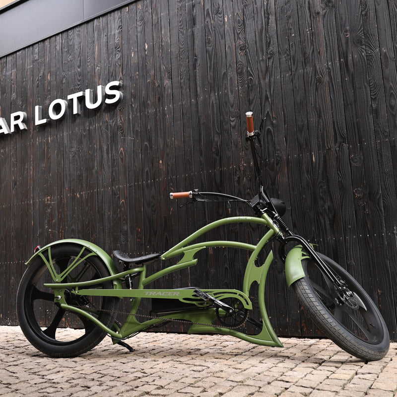 Tracer 800W Raptor Pro DS Chopper Stretch Cruiser  Electric Bike