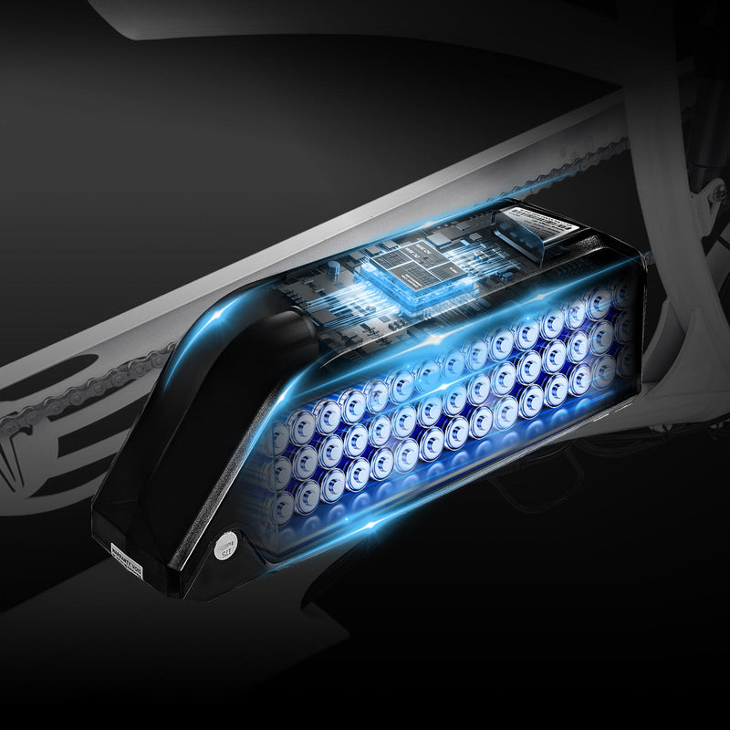 Tracer 800W Raptor Pro DS Chopper Stretch Cruiser  Electric Bike