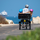 Emojo 500W Bull Urban Cruiser Step-Thru Electric Bike Trike