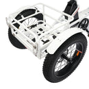 Ecotric 750W Tricycle 48V FAT Tire F/R 24"x4"/20"x4"Electric Bike