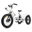 Ecotric 750W Tricycle 48V FAT Tire F/R 24"x4"/20"x4"Electric Bike