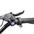 Nakto 500W S02 Electric Bike