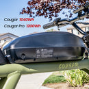 Revi 750W Cougar Electric Bike
