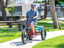 Emojo 500W Bull Urban Cruiser Step-Thru Electric Bike Trike