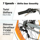 Tracer 29" Avalon GT Fat Tire Stretch Beach Cruiser Bike