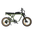 Revi 750W Cougar Pro Electric Bike