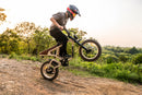 Revi 750W Cougar Electric Bike