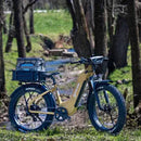 E-Joe 750W Young Electric E-Scout Pro ST Electric Bike